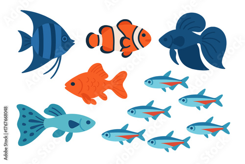 Vibrant collection of popular tropical and freshwater aquarium fish species