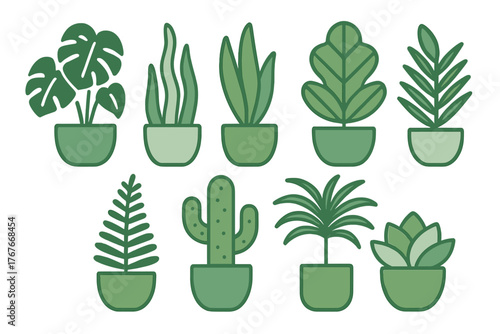 Collection of popular indoor potted plants tropical foliage and desert succulents
