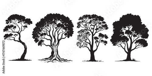 Set of four black tree silhouettes isolated on a white background