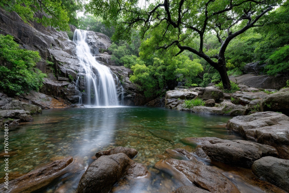 Fototapeta premium Waterfall cascading into a clear pool in a lush forest