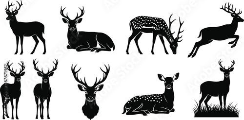 Deer silhouette vector illustration, standing, grazing, leaping, lying poses, antlers, wildlife icon, forest animal, nature theme, black graphic, motion study