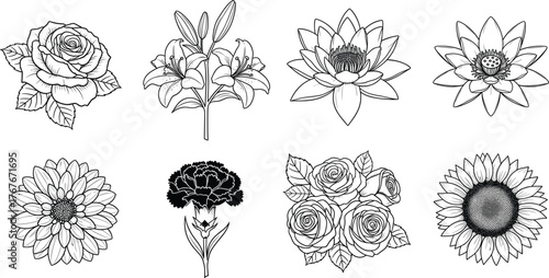 Flower line art vector illustration, rose, lotus, lily, carnation, sunflower, dahlia, botanical icons, floral design, nature theme, decorative graphic