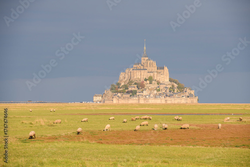 Wallpaper Mural Polders au Mont Saint Michel et moutons de prés salés sous le soleil Torontodigital.ca
