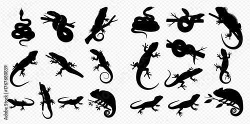 Detailed collection of reptile silhouettes including snakes, lizards, and chameleons in various poses against a transparent background.