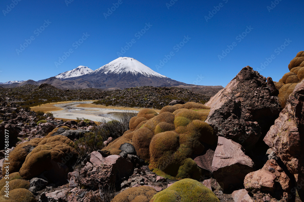 Naklejka premium View of Lauca National Park, Chile