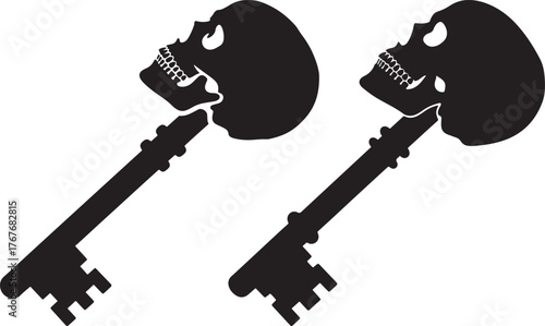 Two black silhouette keys with skull heads against a white background