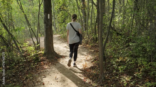 Wallpaper Mural Walking in the woods, Forest Torontodigital.ca