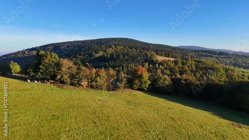A drone flies over a pine forest in the mountains of Redwood National Park, California, USA. A picturesque autumn forested mountain range. Morning forest landscape, 4K video.