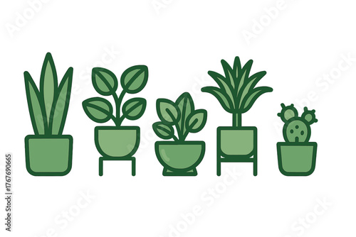 Diverse group of potted green foliage plants and cacti for home or office decoration