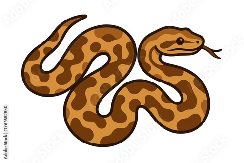 Vector Illustration of a Boa Constrictor