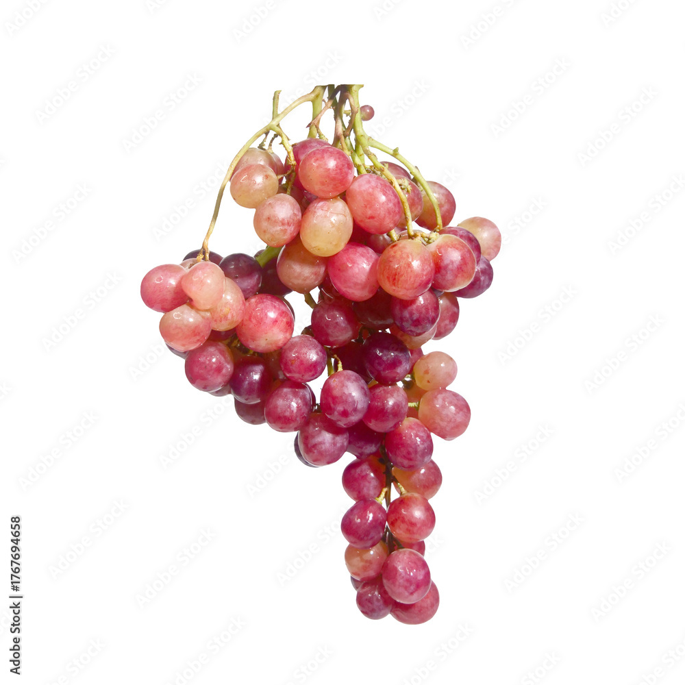 Fototapeta premium Freshly picked red grapes hanging, perfect for a refreshing snack. The vibrant colors and juicy appearance are irresistible