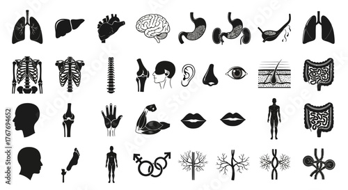 Human Anatomy Icons Depicting Organs, Systems, and Body Parts in Sleek Silhouette Style