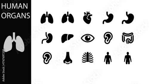 Set of human organs icons in black and white style, suitable for medical, health, science, and education themed projects, perfect for web or print