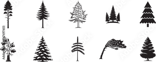 Pine tree silhouette vector collection with spruce, fir, cedar and snowy or windy evergreen forms for forest and winter design