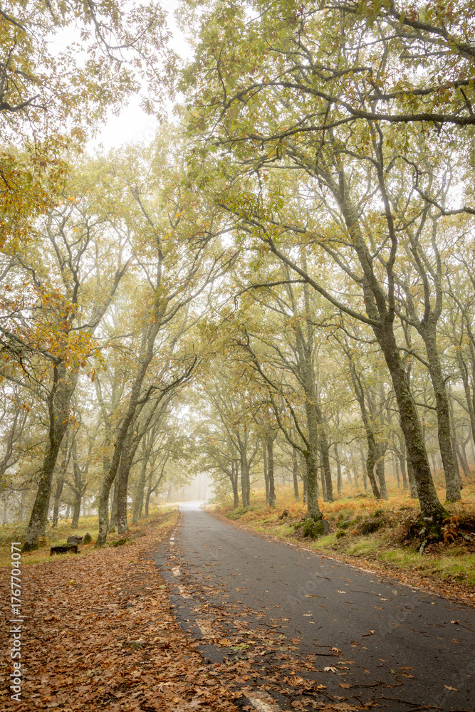 Fototapeta premium Sierra de Tormantos (Extremadura ) en otoño
