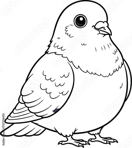 Pigeon bird cartoon illustration animal wildlife nature avian drawing cute