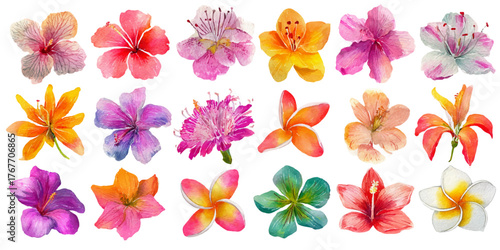 Collection of delicate watercolor floral illustrations in warm earthy tones isolated on white background	
