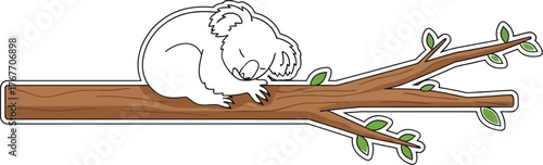 Koala sleeping branch eucalyptus bear wildlife australia cute cartoon animal nature