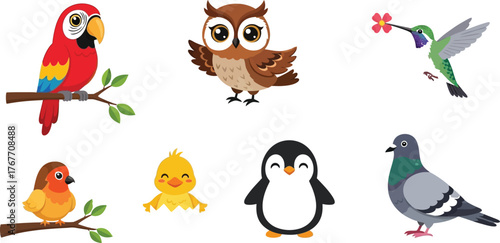 Cartoon birds parrot owl hummingbird robin chick penguin pigeon illustration cute