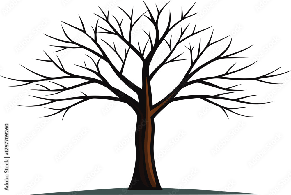Obraz premium Bare winter tree silhouette against white background