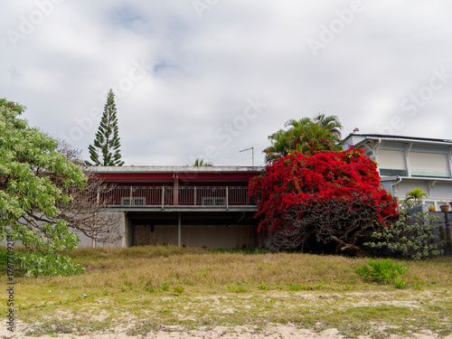 Holiday house in front of the sea with a big red bush (Pointe aux cannoniers - Mauritius)