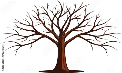 Bare deciduous tree with intricate branches against a white background