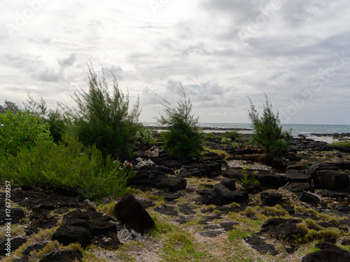 Black rock on the beach - Pointe-aux-Cannoniers (Mauritius)