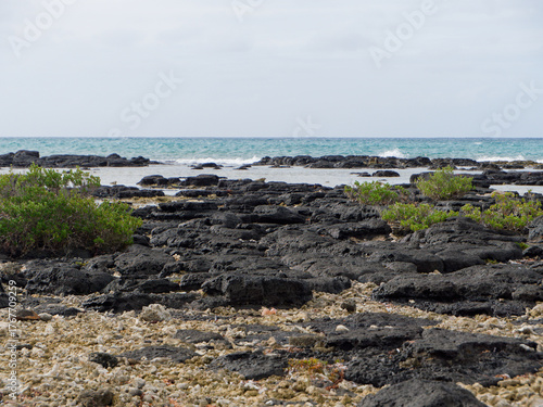 Black rock on the beach - Pointe-aux-Cannoniers (Mauritius)