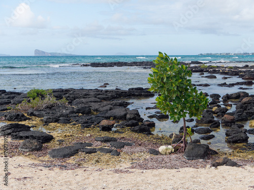 Black rock on the beach - Pointe-aux-Cannoniers (Mauritius)