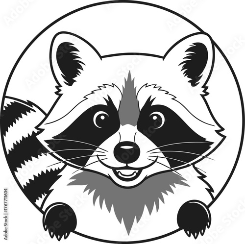Raccoon animal mammal wildlife nature forest cute mask bandit cartoon character art