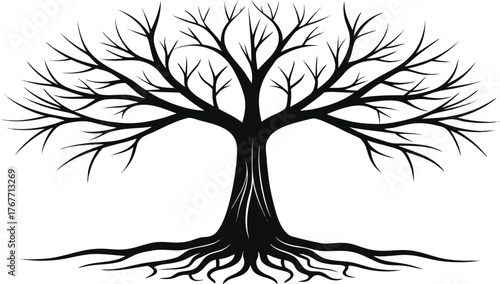 Silhouette of a bare tree with intricate branches and visible roots