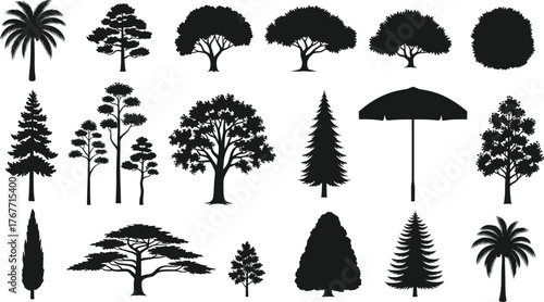 Tree silhouettes set, diverse foliage shapes, coniferous, deciduous, tropical trees, umbrella icon, black vector, nature forms, landscape design, contrast