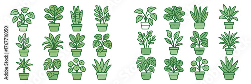 Different types of potted plants arranged in an organized display on a white background with various shapes and sizes