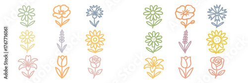 Flower illustrations featuring various types and colors ideal for wedding invitations or greeting cards