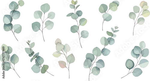 Collection of delicate watercolor eucalyptus sprigs with soft green and blue hues on a white background