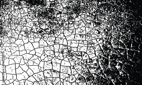 Closeup of a cracked, textured surface in black and white, showing intricate weblike fissures and a gritty, distressed appearance