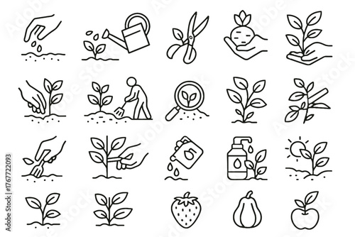 Trimming compilation planting soil vegetables vector monitoring weeding gardening seedlings icon checking