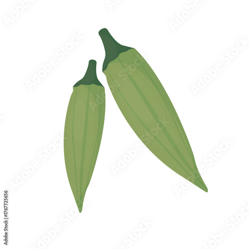 okra fruit vegetable vector or commonly called lady's finger
