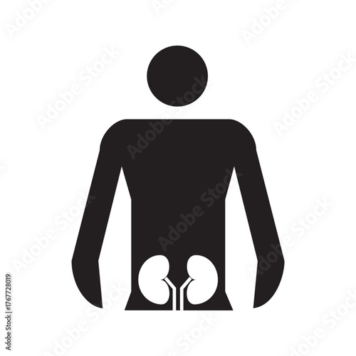 Human Body Kidneys Icon