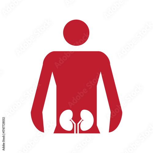 Kidney Health Icon