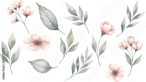Delicate watercolor illustrations of soft pink blossoms and gray green leaves in a botanical collection