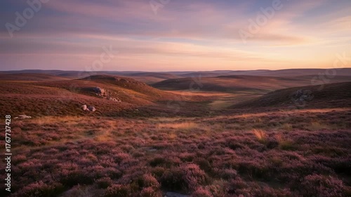 Rolling Hills Covered In Purple Heather Under A Pink Golden Hour Sky At Sunset In A Serene Rural Landscape