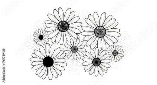 Elegant monochrome daisy illustration with delicate dot patterns creating a calming aesthetic