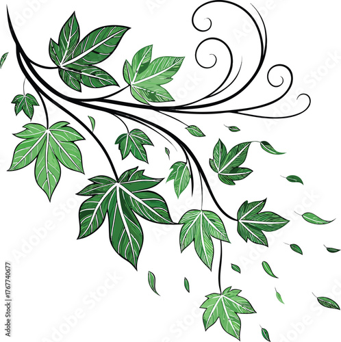 Green leaves fly with a gust of wind on white. background
