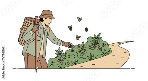 A Farmer Harvesting Berries Along A Pathway On A Sunny Day, Vector Illustration