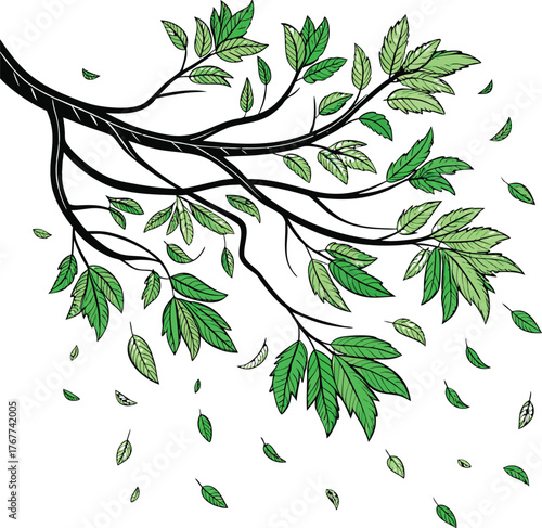 Green leaves fly with a gust of wind on white. background