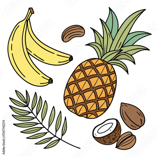 Sweet tropical pineapples and coconuts arranged on a white background, perfect for summer recipes and refreshing drinks.