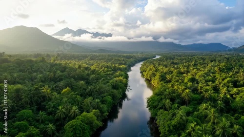 Serene River Winding Through Lush Green Tropical Rainforest Under a Cloudy Sky at Sunrise