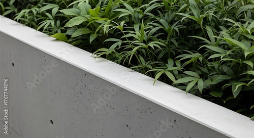 Modern concrete planter with lush green foliage, urban garden design