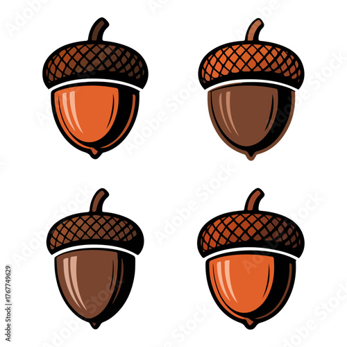 acorn sketch black outline illustration
